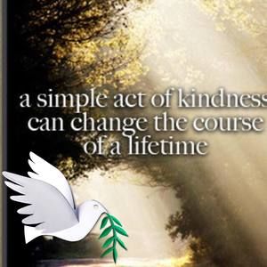 Meet your Posher, Sandy